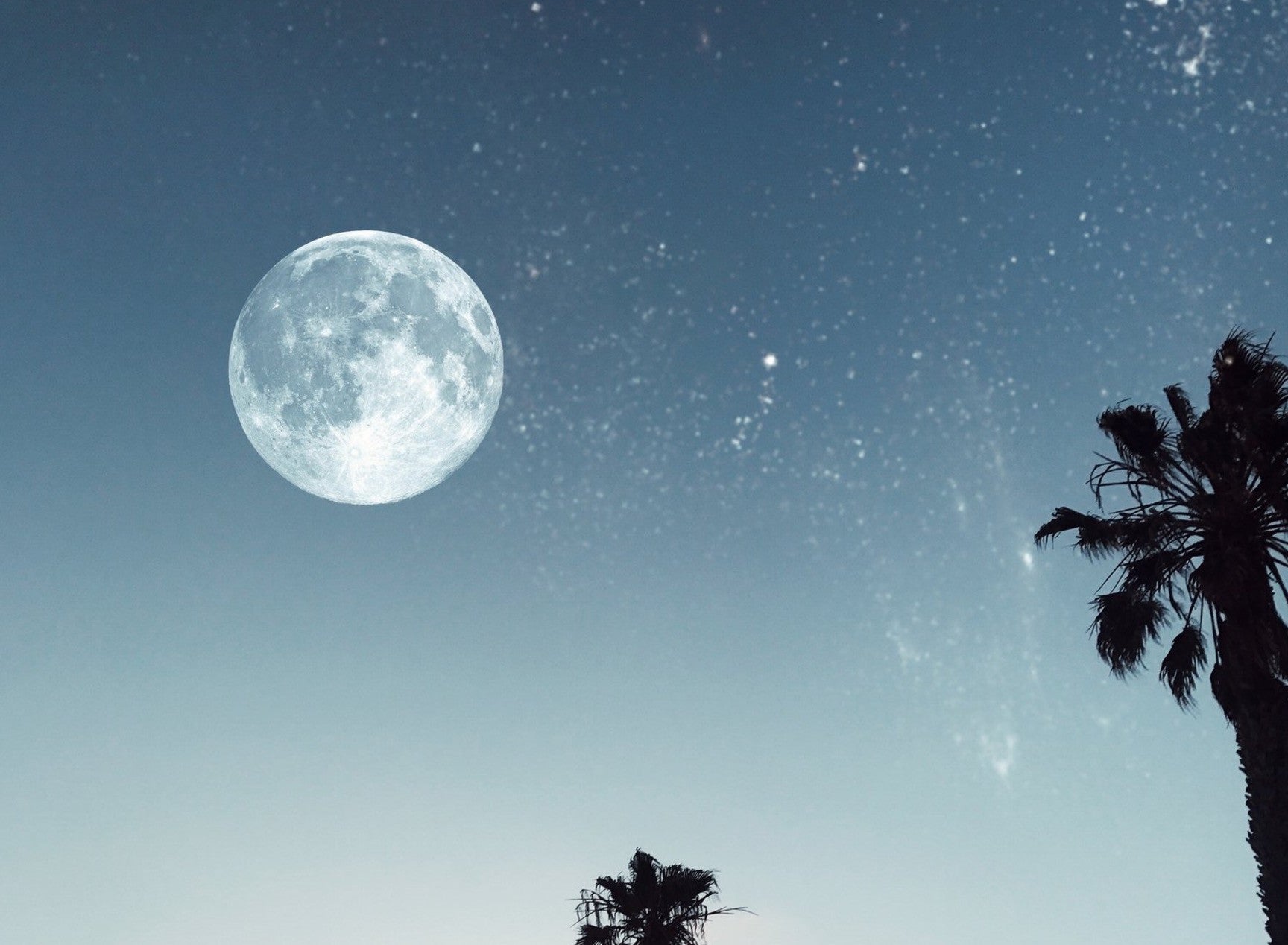 Full Moon :: Sagittarius