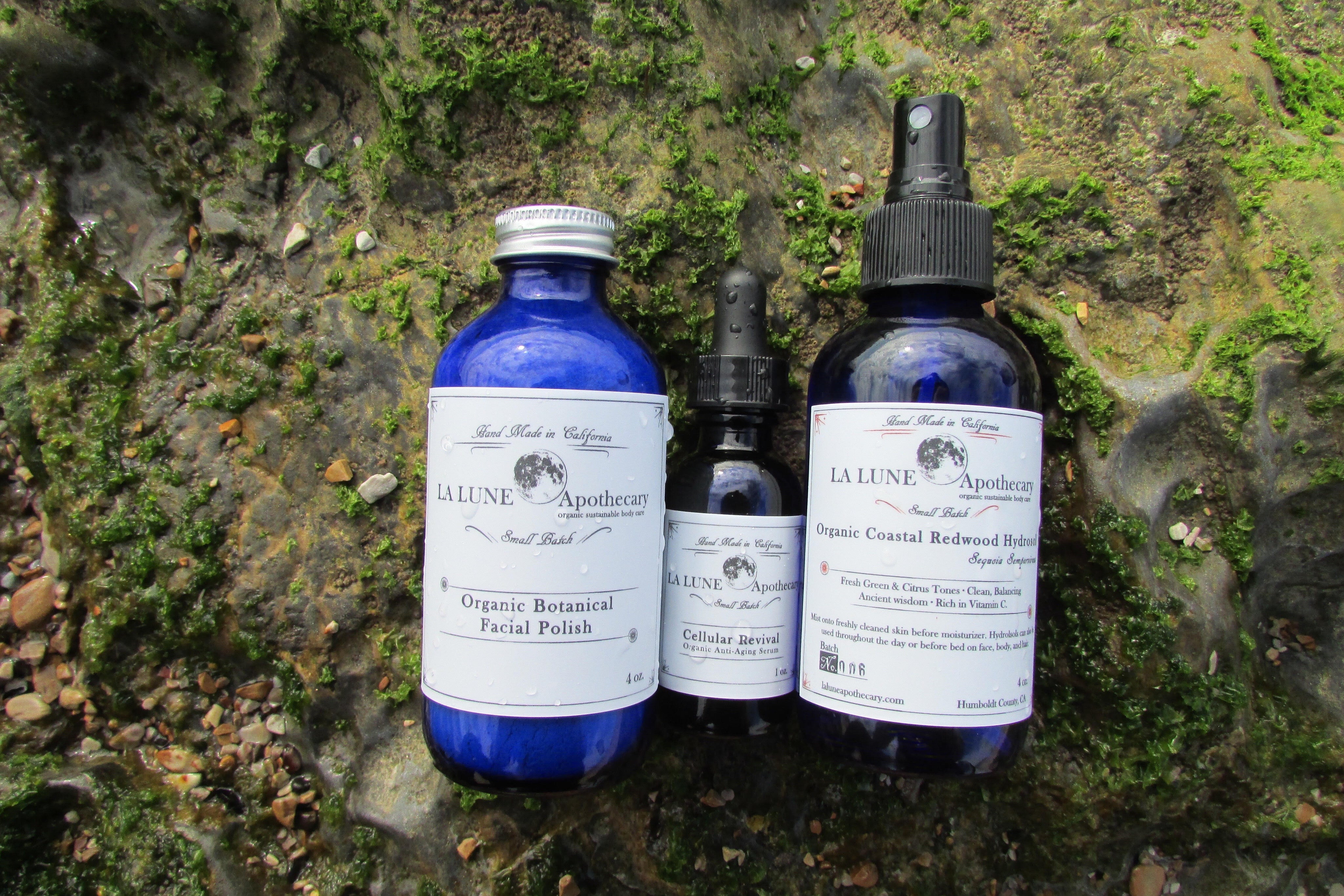 Strawberry Hydrosol - Essential Oil Apothecary