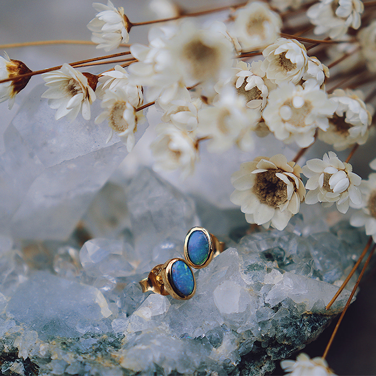 Fallen Star Earrings || oval