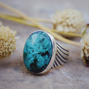Bird of Prey || Men's Ring