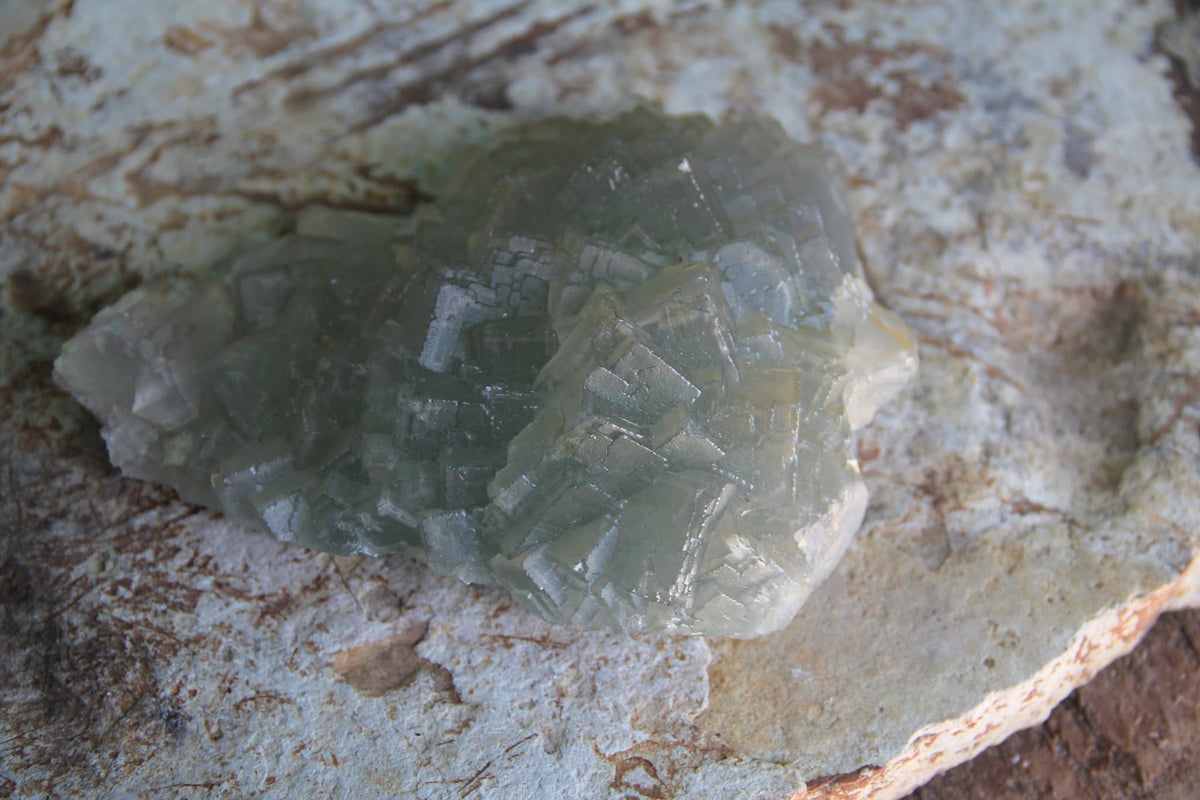 Raw Mongolian Fluorite (cosmic city)